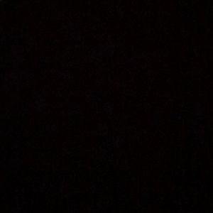 Meet your Posher, Darian